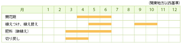 ミヤコワスレの栽培カレンダー