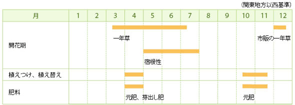 リナリアの栽培カレンダー