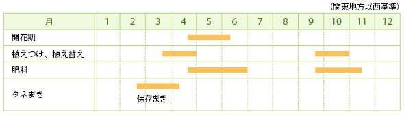 レウイシア・コチレドンの栽培カレンダー