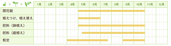 アラマンダの栽培カレンダー