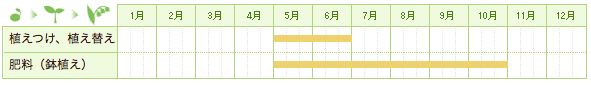 イレシネの栽培カレンダー