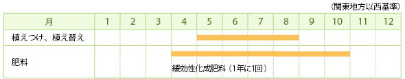 ビカクシダの栽培カレンダー