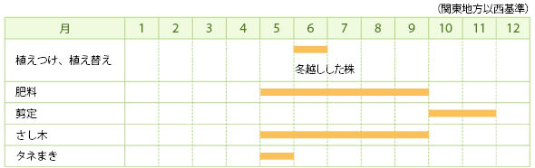 ヒコウキソウの栽培カレンダー