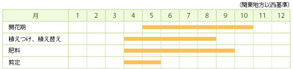ヤトロファの栽培カレンダー