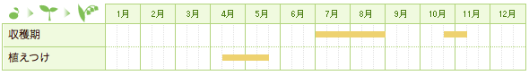 ショウガの栽培カレンダー