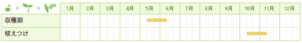 イチゴの栽培カレンダー