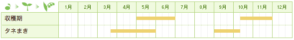 シュンギクの栽培カレンダー