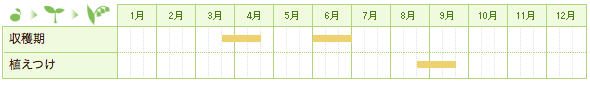 ラッキョウの栽培カレンダー