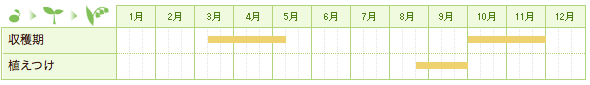 ワケギ、アサツキの栽培カレンダー