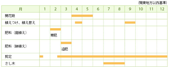 ゲッケイジュ（ローレル、ローリエ）の栽培カレンダー