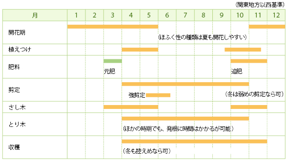 ローズマリーの栽培カレンダー