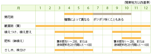 タイムの栽培カレンダー