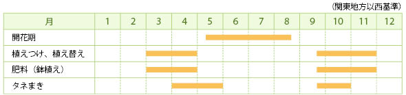 アキレアの栽培カレンダー