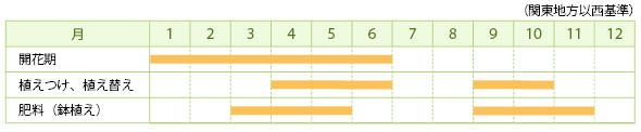 エレモフィラの栽培カレンダー