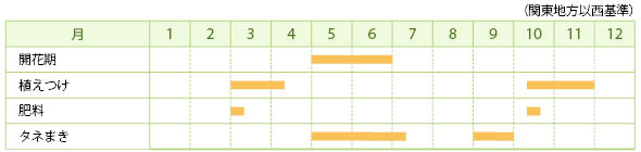 ジギタリスの栽培カレンダー