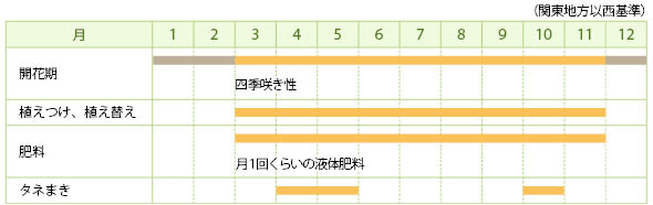 ダールベルグデージーの栽培カレンダー