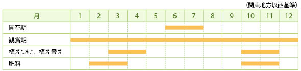 フェスツカ・グラウカの栽培カレンダー