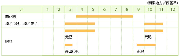 リシマキアの栽培カレンダー