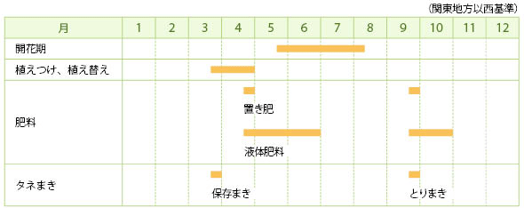 タマシャジンの栽培カレンダー