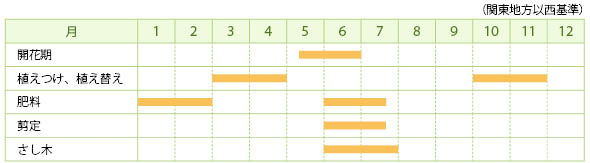 アメリカテマリシモツケの栽培カレンダー