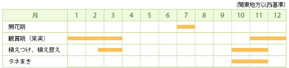 カラタチバナの栽培カレンダー