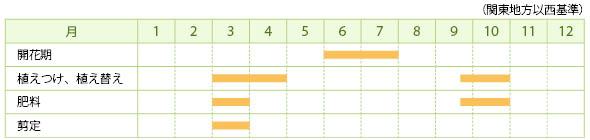 キンシバイの栽培カレンダー