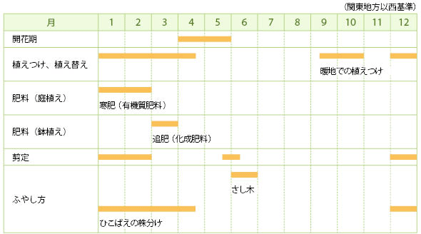 ゼノビアの栽培カレンダー