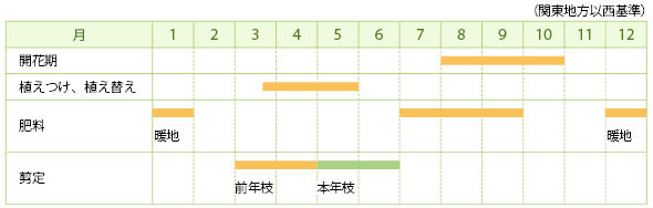 フヨウの栽培カレンダー