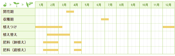 ユスラウメの栽培カレンダー
