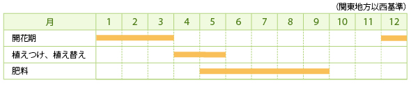 カランセの栽培カレンダー