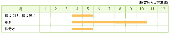 アガベ（多肉植物）の栽培カレンダー