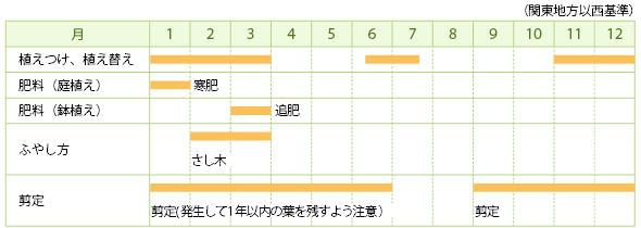 ヒノキの仲間の栽培カレンダー