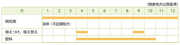 ドラキュラの栽培カレンダー