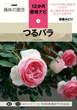 バラ つるバラ とは 育て方図鑑 みんなの趣味の園芸 Nhk出版