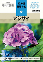 アジサイ ハイドランジア とは 育て方図鑑 みんなの趣味の園芸 Nhk出版