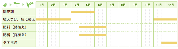 ウラシマソウ（テンナンショウの仲間）の栽培カレンダー