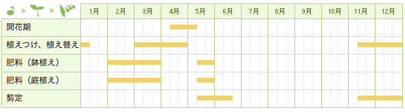 ドウダンツツジの栽培カレンダー
