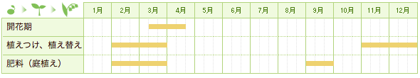 ハナモモの栽培カレンダー