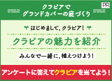 クラピアでグランドカバーの庭づくり