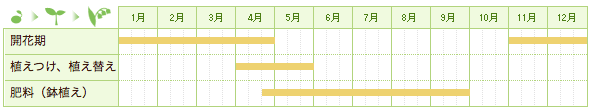 ジゴペタラムの栽培カレンダー