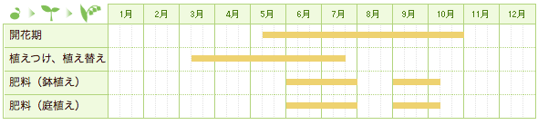温帯スイレンの栽培カレンダー