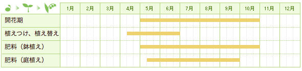 サンタンカの栽培カレンダー
