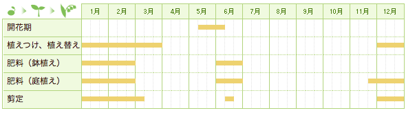 ウツギの栽培カレンダー
