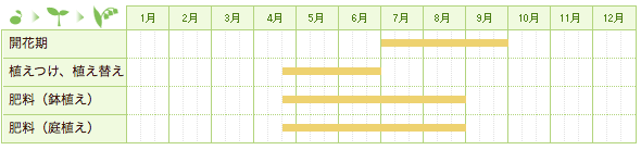 ヒマワリの栽培カレンダー
