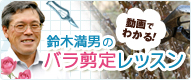 動画でわかる！ 鈴木満男のバラ剪定レッスン