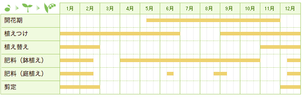 バラ（ミニバラ）の栽培カレンダー