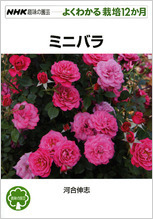 バラ ミニバラ の種類 原種 品種 植物図鑑 みんなの趣味の園芸 Nhk出版