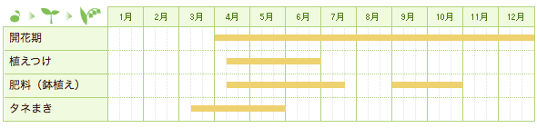 マリーゴールドの栽培カレンダー