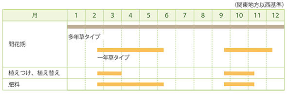スイートアリッサムの栽培カレンダー
