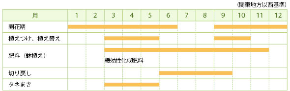 バコパ（ステラ）の栽培カレンダー
